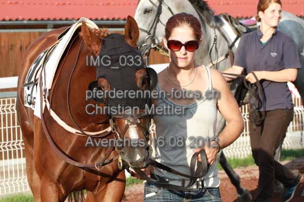 IMG 0331 prot