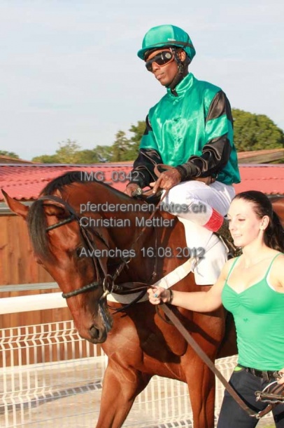 IMG 0342 prot