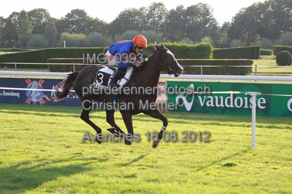 IMG 0393 prot