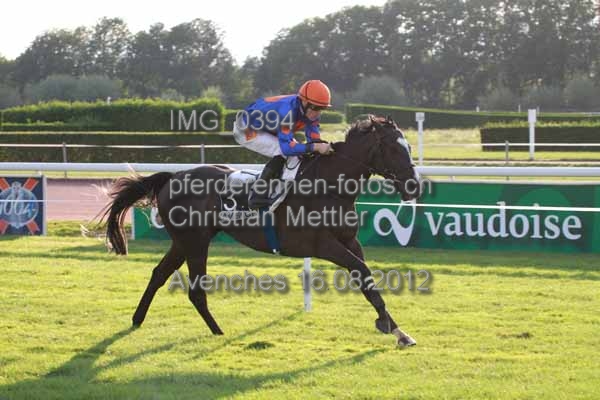 IMG 0394 prot