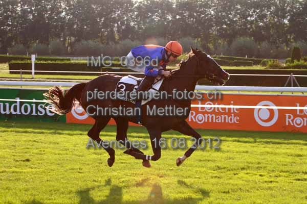 IMG 0396d prot