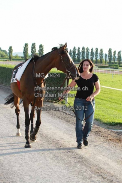 IMG 0424 prot