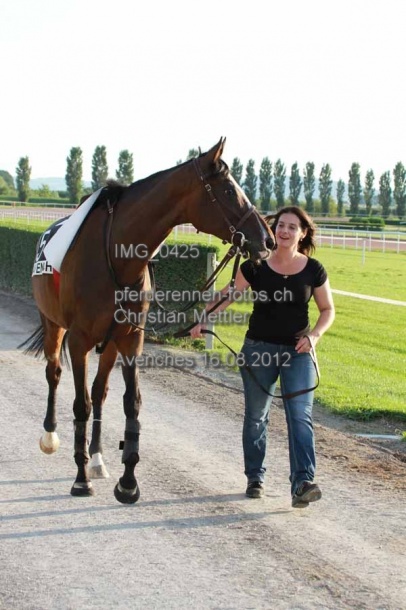IMG 0425 prot
