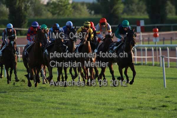 IMG 0487 prot