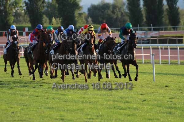 IMG 0490 prot
