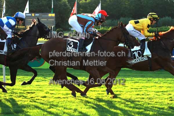 IMG 0504h prot