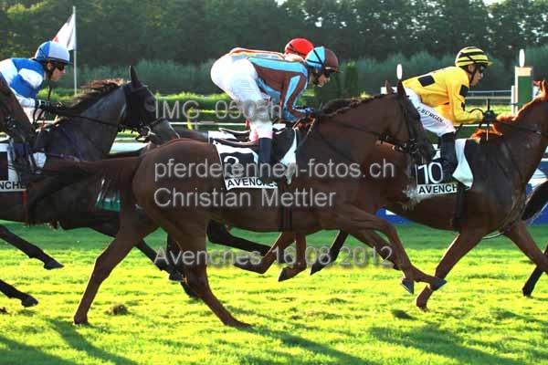 IMG 0505h prot