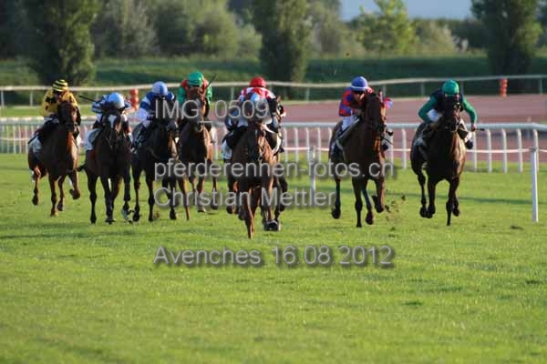IMG 0509 prot