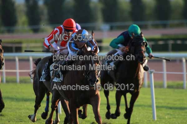 IMG 0520 prot