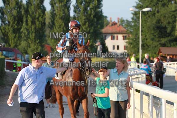 IMG 0550 prot