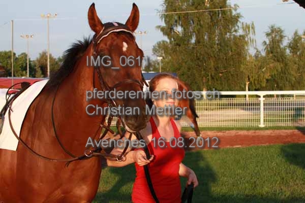 IMG 0611 prot
