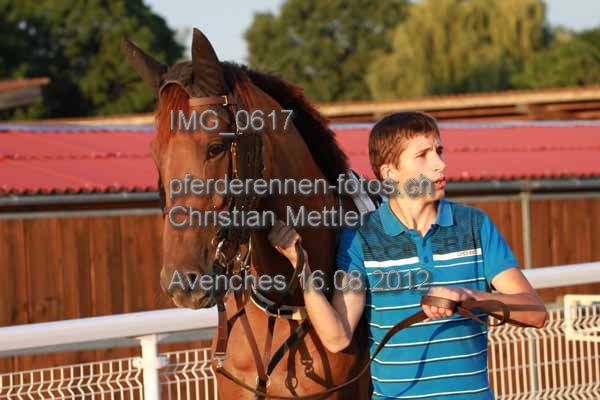 IMG 0617 prot
