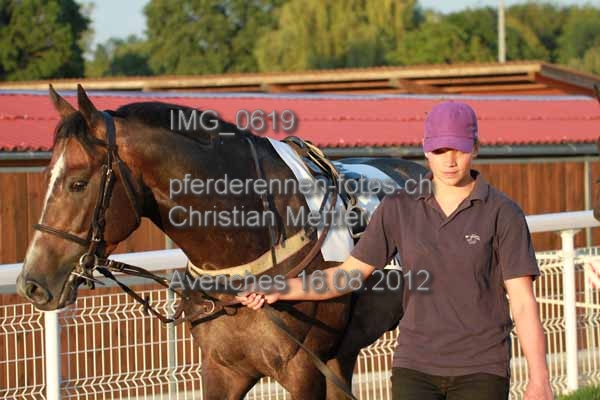 IMG 0619 prot