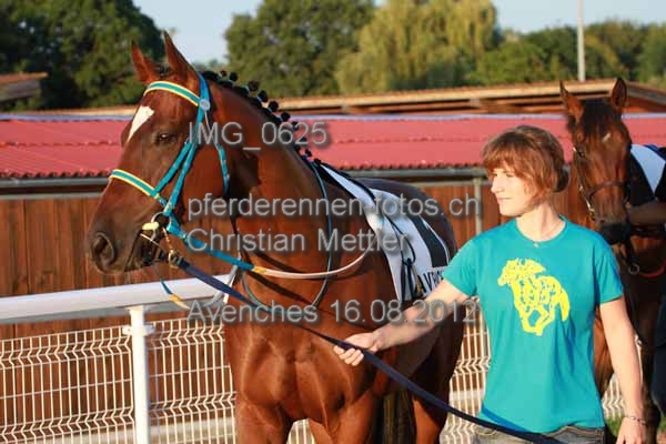 IMG 0625 prot