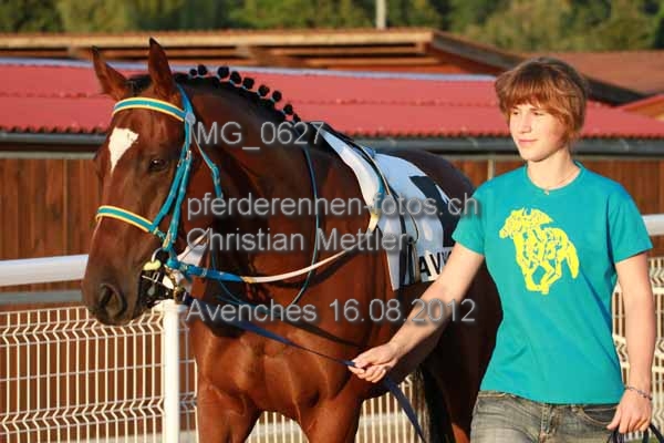 IMG 0627 prot