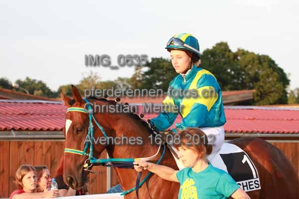 IMG 0635 prot