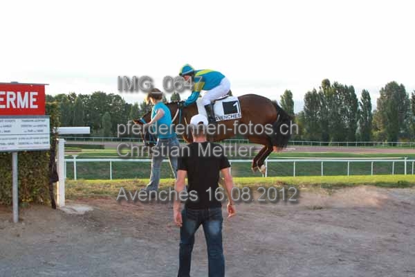IMG 0647 prot