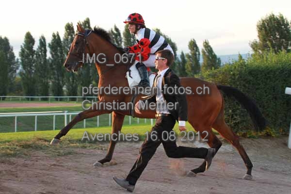 IMG 0671 prot