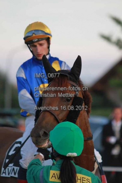 IMG 0677 prot