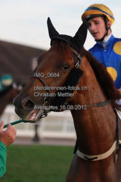 IMG 0684 prot