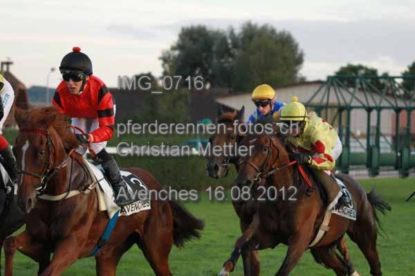 IMG 0716 prot