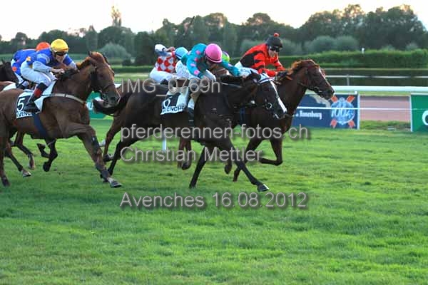 IMG 0769h prot