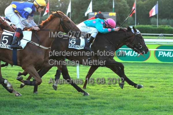 IMG 0775h prot