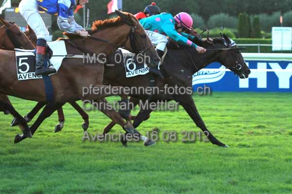 IMG 0776h prot
