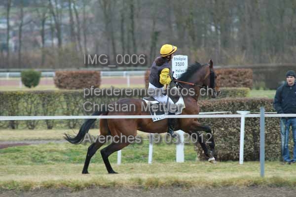 IMG 0006 prot