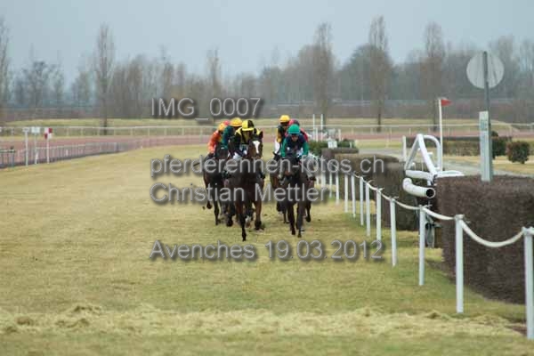 IMG 0007 prot