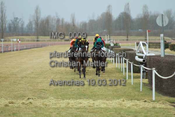 IMG 0009 prot
