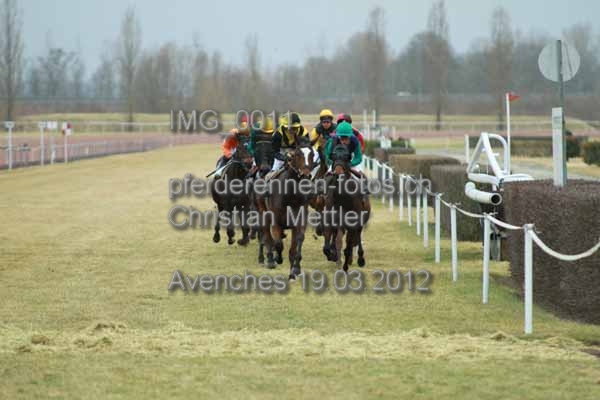 IMG 0011 prot
