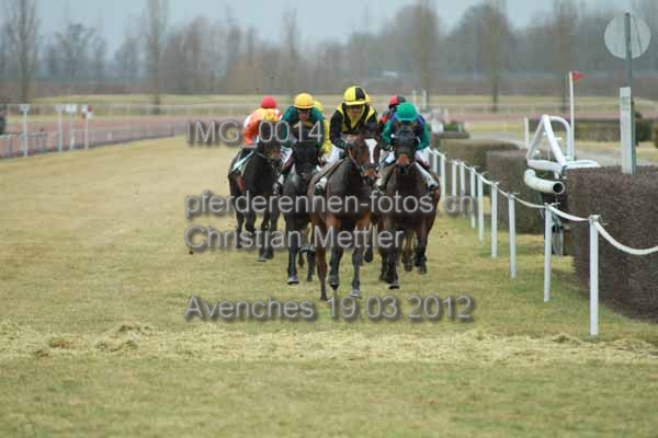 IMG 0014 prot
