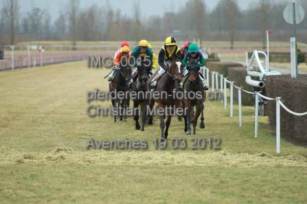 IMG 0015 prot