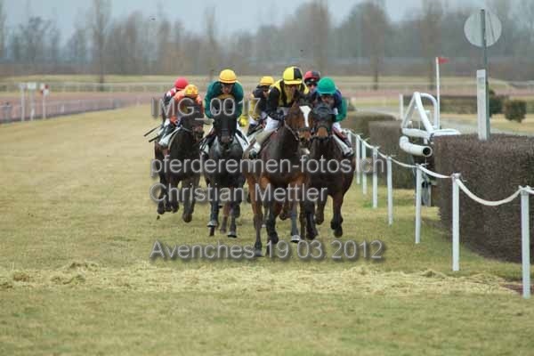 IMG 0017 prot