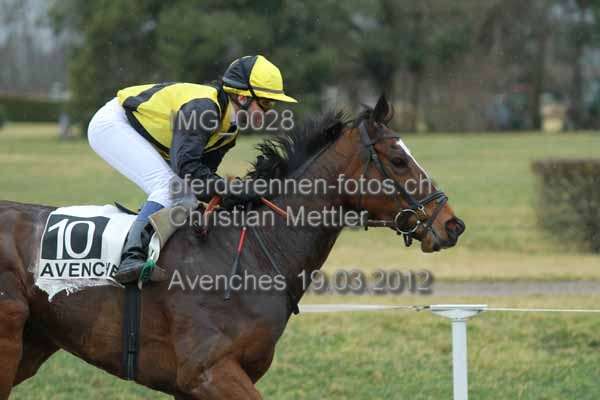 IMG 0028 prot