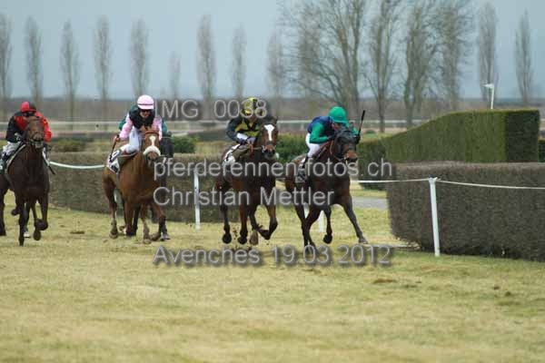 IMG 0038 prot