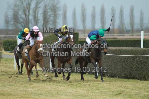 IMG 0043 prot