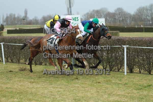 IMG 0054 prot