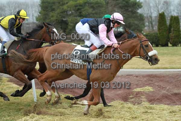 IMG 0060 prot