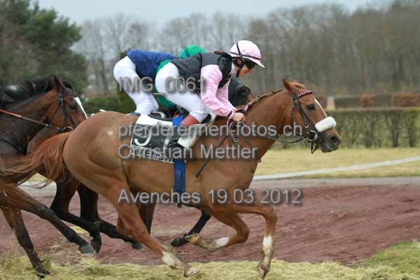 IMG 0061 prot
