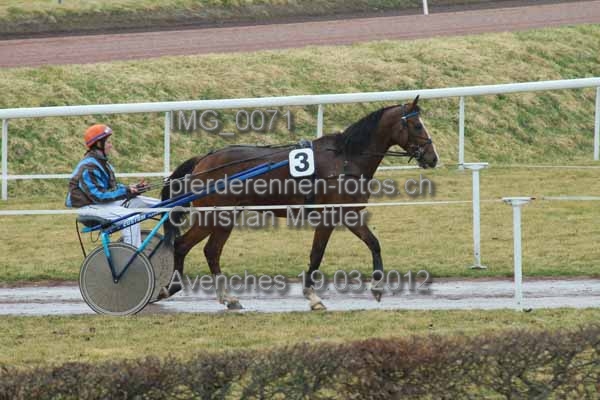 IMG 0071 prot