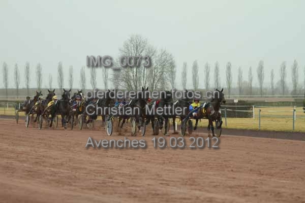 IMG 0073 prot