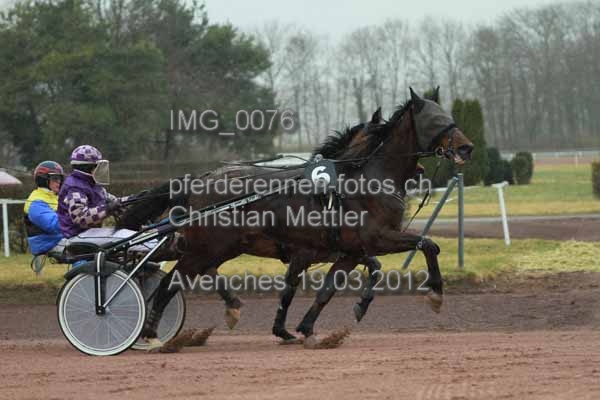 IMG 0076 prot