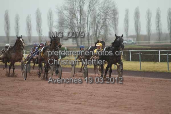 IMG 0079 prot