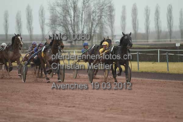 IMG 0080 prot