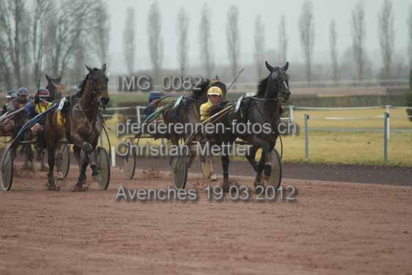 IMG 0082 prot