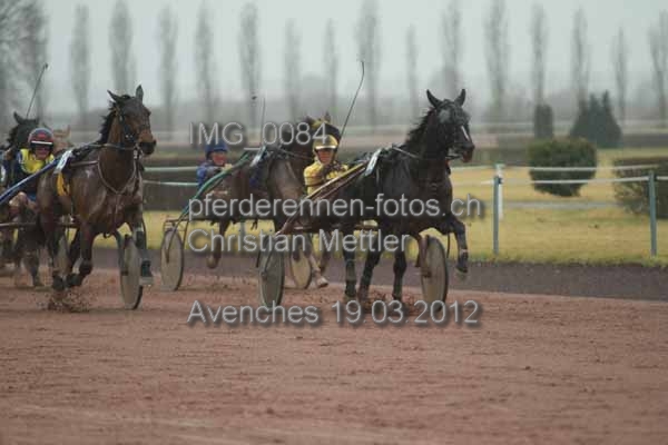 IMG 0084 prot