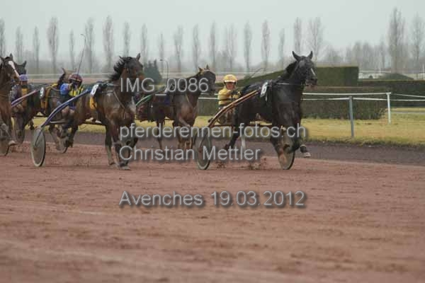 IMG 0086 prot