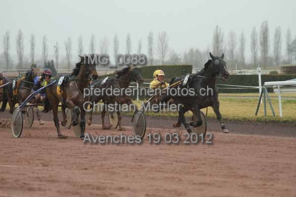 IMG 0088 prot